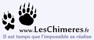 Logo Chimeres - Il est temps que l'impossible se réalise